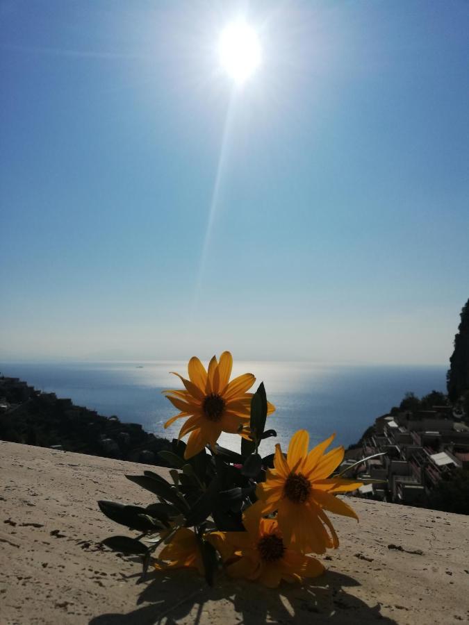 La Villa Di Enzo Casa Vacanze Con Vista Mare Amalfi Eksteriør bilde