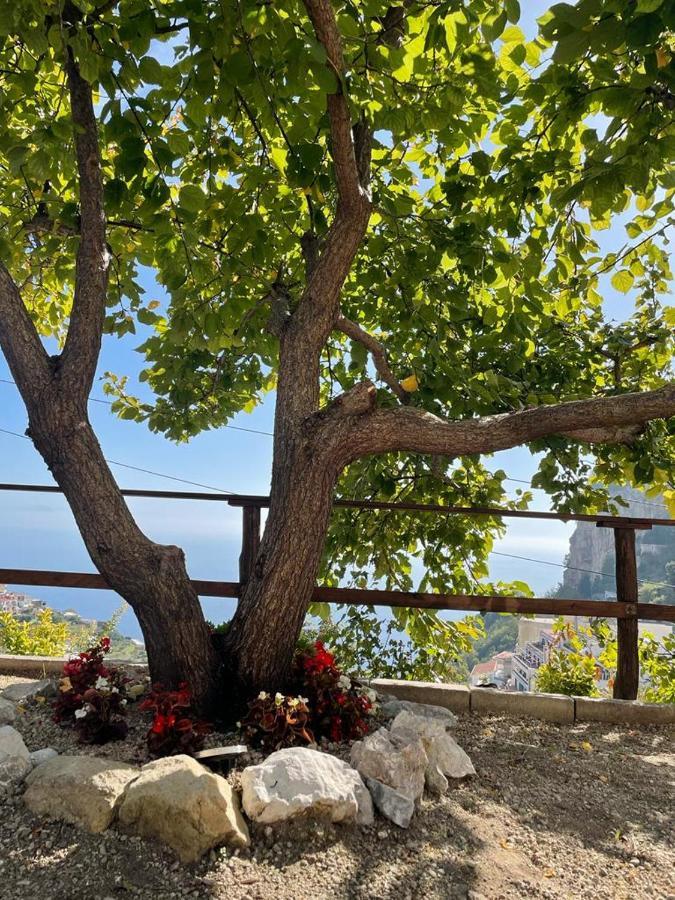 La Villa Di Enzo Casa Vacanze Con Vista Mare Amalfi Eksteriør bilde